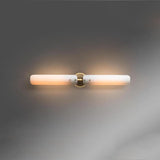 Alena Picture Linear Wall Sconce