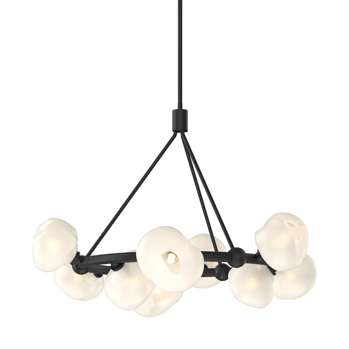 Blossom Ring Chandelier 9 Lighting