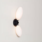 Kingdom Wall Sconce