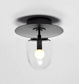 Agnes Pendant - 2 Lights